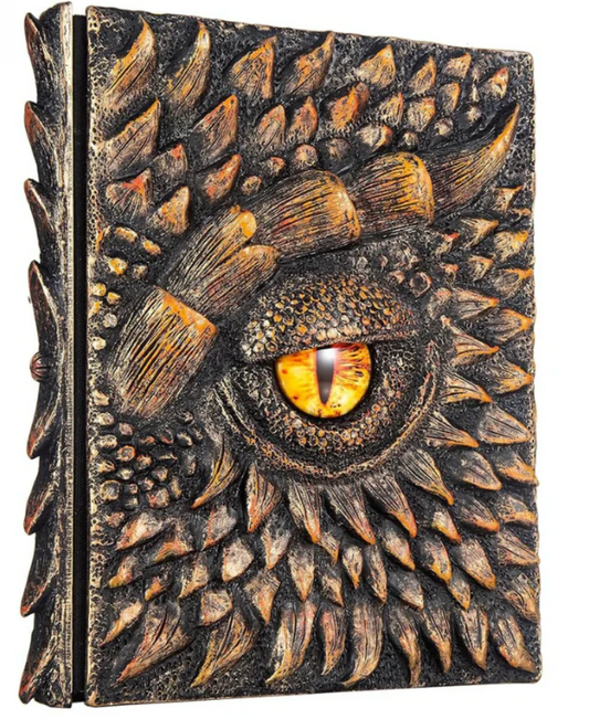 Dragon notebooks